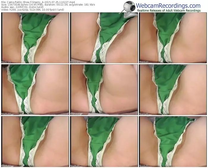 cams-snazzy_a-public-show-07_25_2015-11_02_27