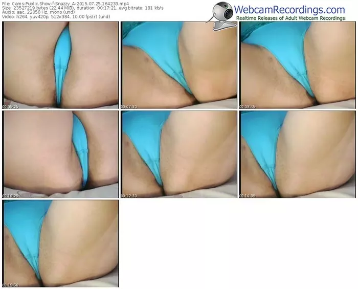 cams-snazzy_a-public-show-07_25_2015-16_42_33