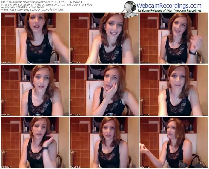 cams-sophieschoice-public-show-07_25_2015-18_32_35