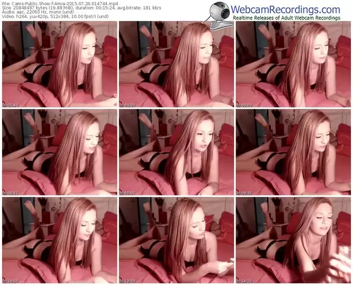 cams-amia-public-show-07_26_2015-01_47_44