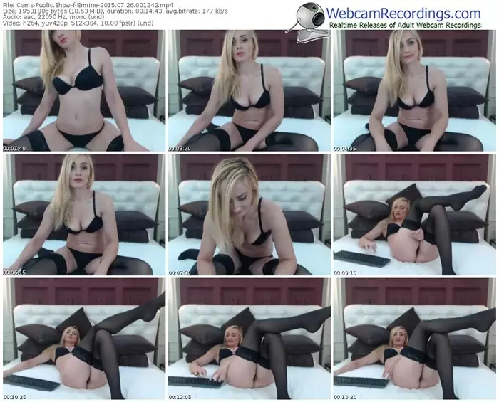 cams-ermine-public-show-07_26_2015-00_12_42