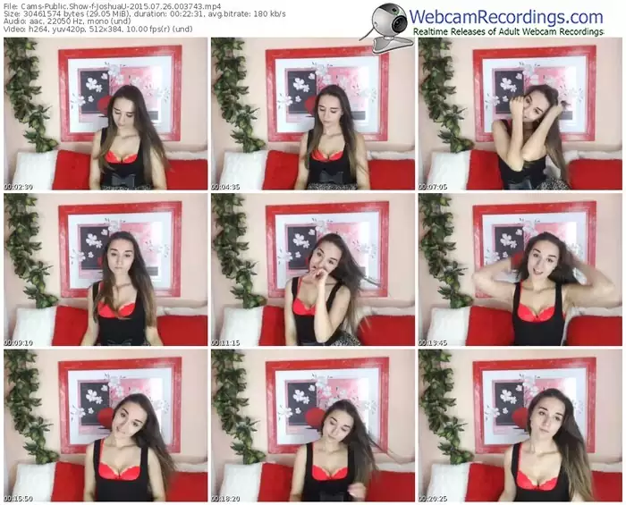 cams-joshuau-public-show-07_26_2015-00_37_43