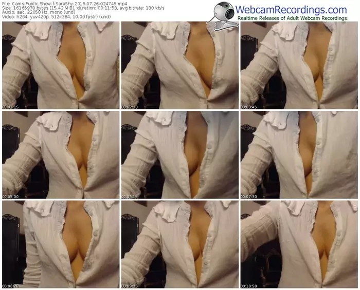 cams-sarashy-public-show-07_26_2015-02_47_45