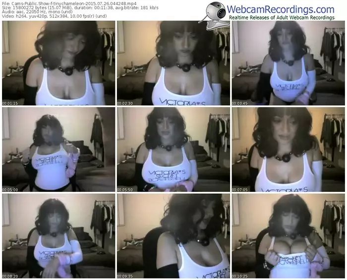 cams-tinychameleon-public-show-07_26_2015-04_42_48