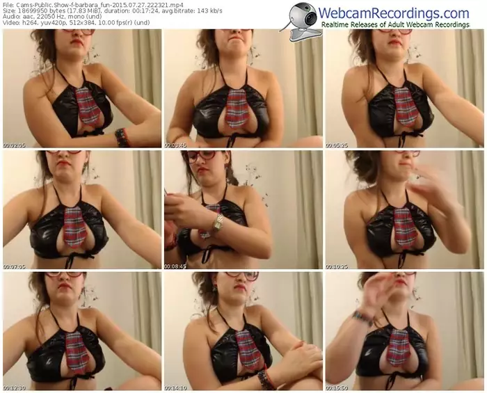 cams-barbara_fun-public-show-07_27_2015-22_23_21