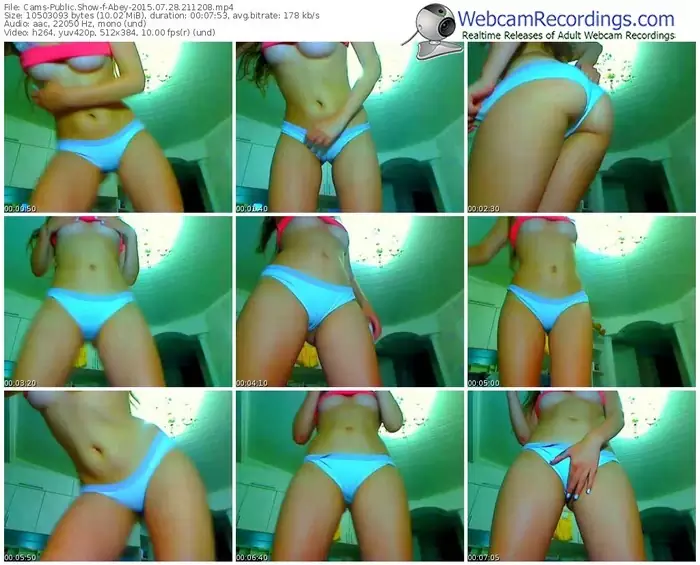 cams-abey-public-show-07_28_2015-21_12_08