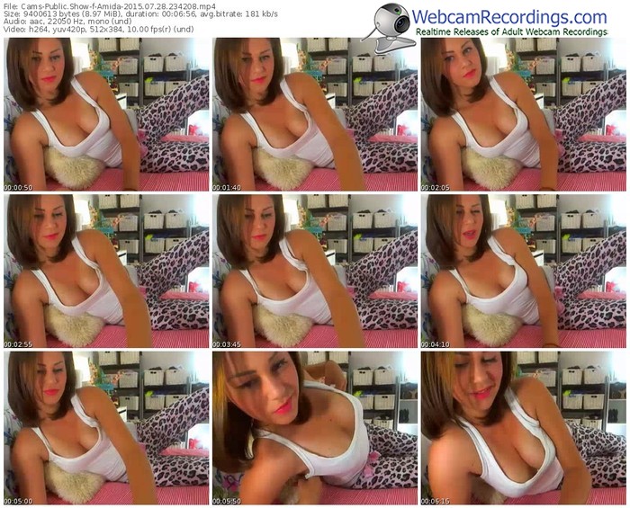 cams-amida-public-show-07_28_2015-23_42_08