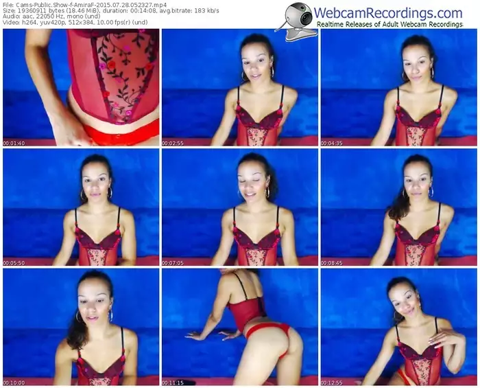 cams-amiraf-public-show-07_28_2015-05_23_27