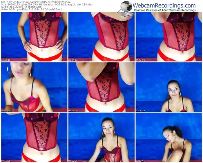 cams-amiraf-public-show-07_28_2015-06_08_28