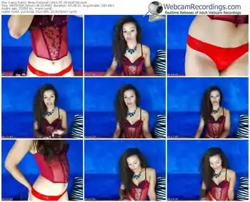 cams-amiraf-public-show-07_28_2015-06_47_06