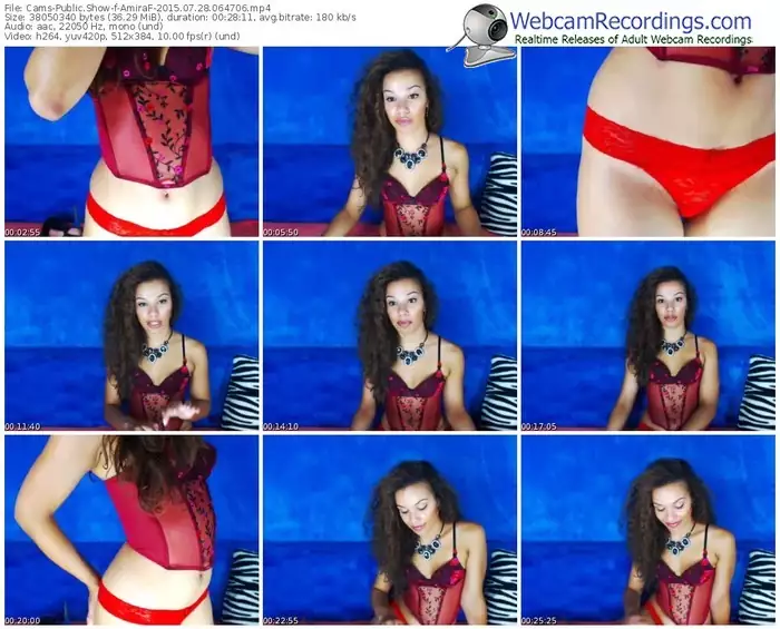 cams-amiraf-public-show-07_28_2015-06_47_06