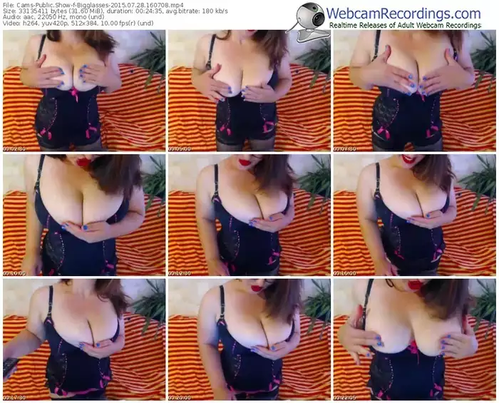cams-bigglasses-public-show-07_28_2015-16_07_08