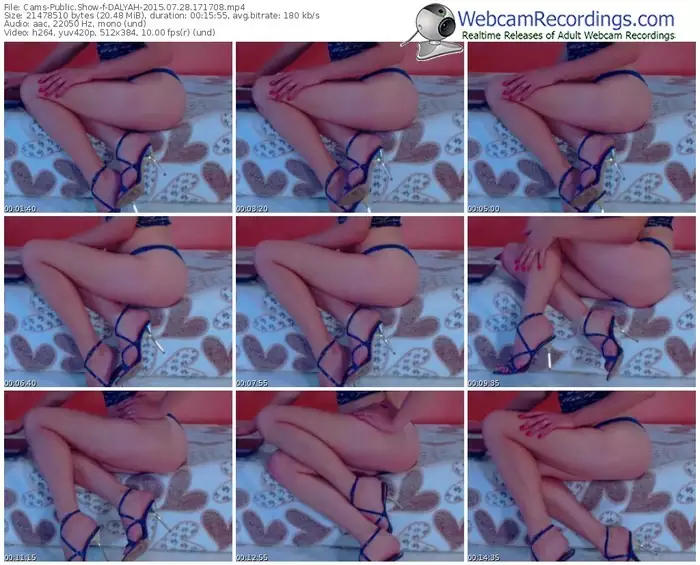 cams-dalyah-public-show-07_28_2015-17_17_08