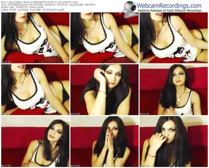 cams-onehestia-public-show-07_28_2015-16_52_07
