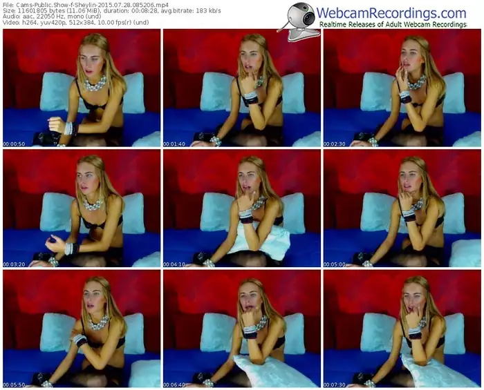 cams-sheylin-public-show-07_28_2015-08_52_06