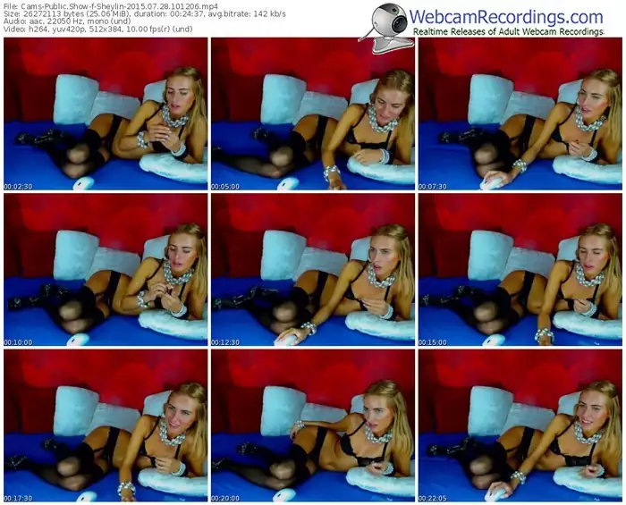 cams-sheylin-public-show-07_28_2015-10_12_06