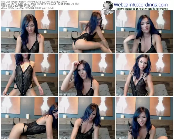 cams-theminnalisa-public-show-07_28_2015-03_48_25