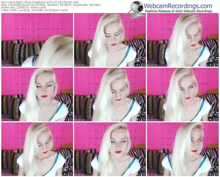 cams-zephyrm-public-show-07_28_2015-15_52_07