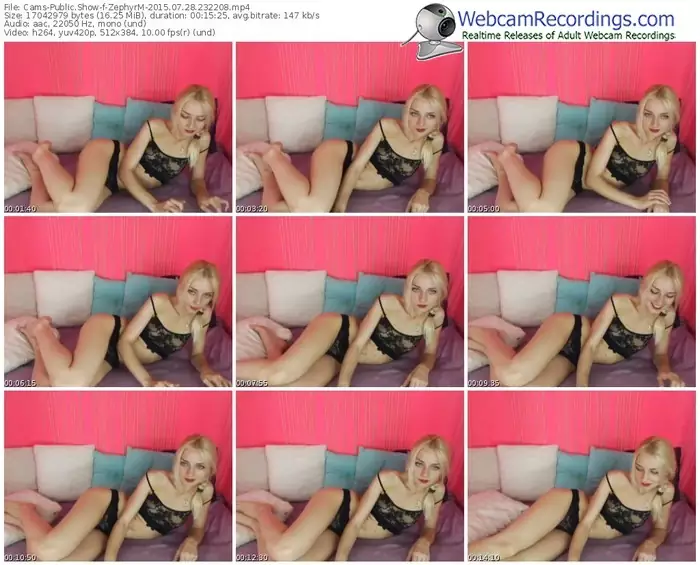 cams-zephyrm-public-show-07_28_2015-23_22_08