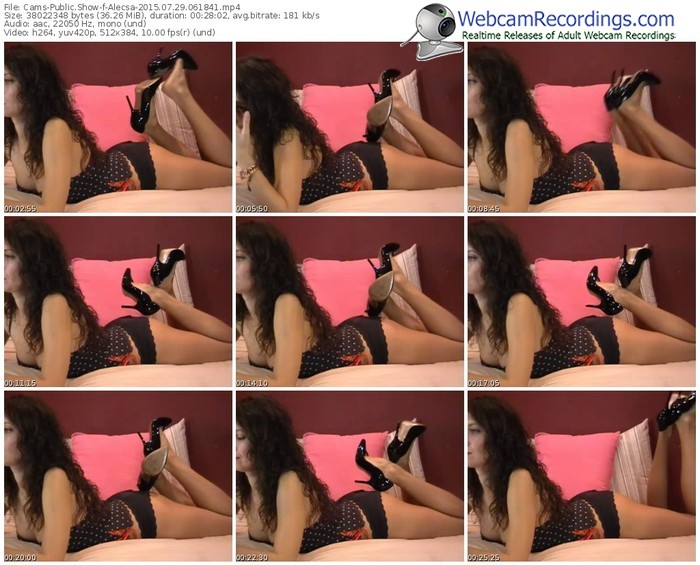 cams-alecsa-public-show-07_29_2015-06_18_41