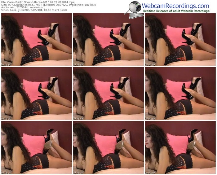 cams-alecsa-public-show-07_29_2015-08_38_44