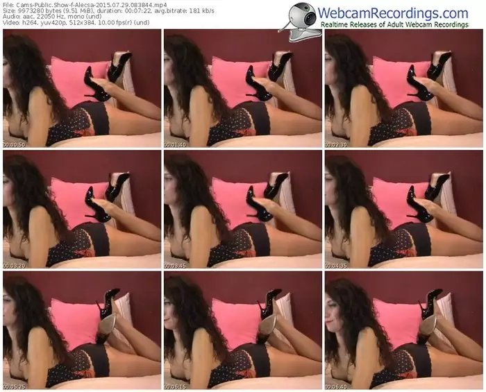 cams-alecsa-public-show-07_29_2015-08_38_44