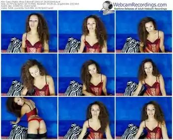 cams-amiraf-public-show-07_29_2015-09_33_44