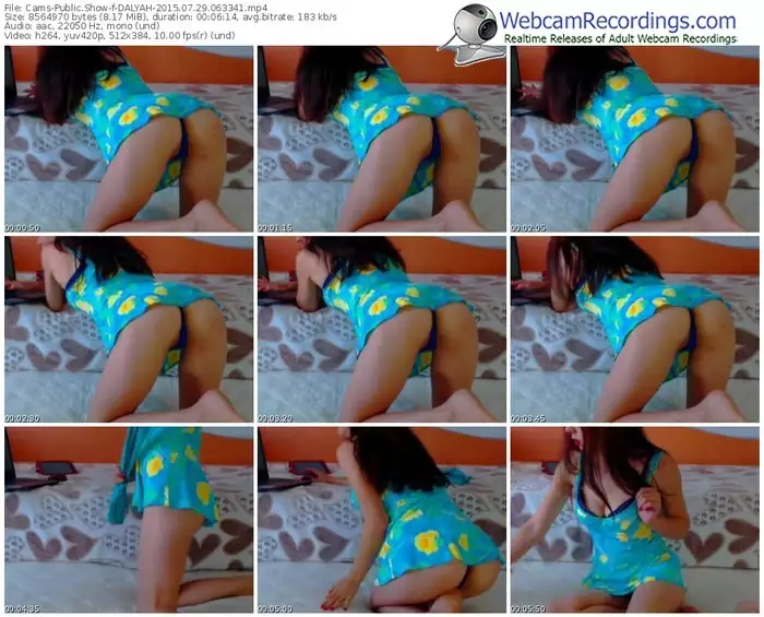 cams-dalyah-public-show-07_29_2015-06_33_41