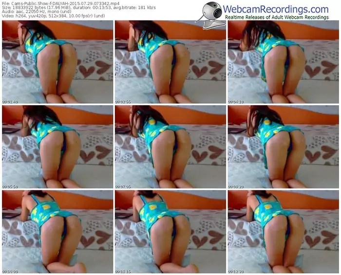 cams-dalyah-public-show-07_29_2015-07_33_42