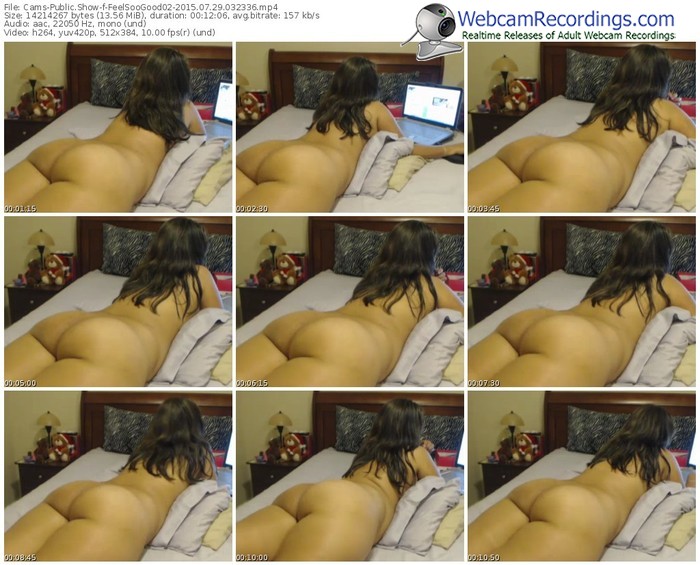 cams-feelsoogood02-public-show-07_29_2015-03_23_36