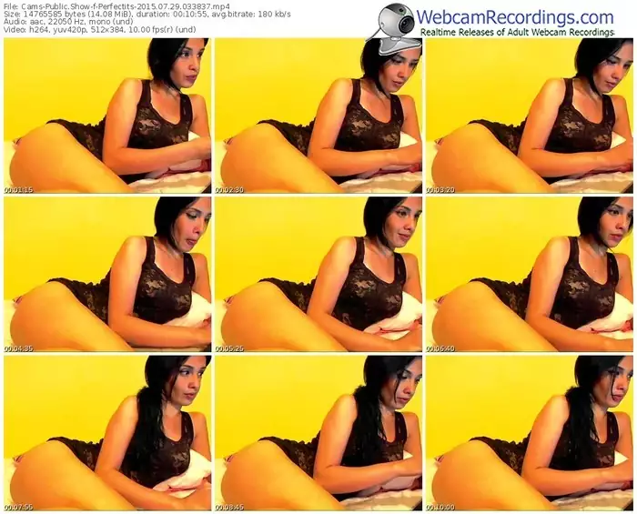 cams-perfectits-public-show-07_29_2015-03_38_37