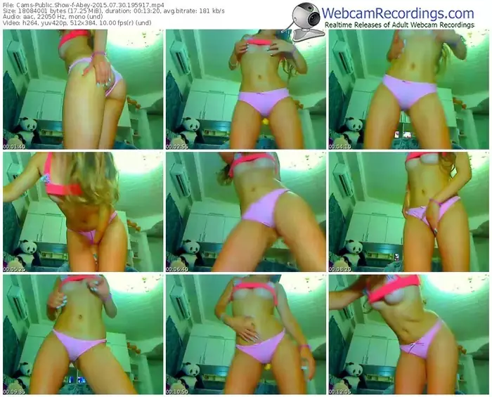 cams-abey-public-show-07_30_2015-19_59_17