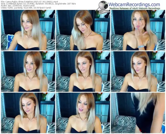 cams-adellex-public-show-07_30_2015-13_49_11