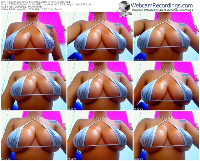 cams-fukmeb-public-show-07_30_2015-13_29_09