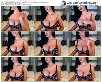 cams-pamela_black-public-show-07_30_2015-20_59_17