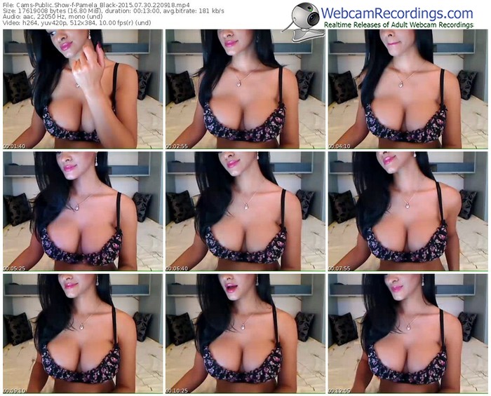 cams-pamela_black-public-show-07_30_2015-22_09_18