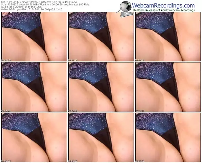 cams-perfect_kitty-public-show-07_30_2015-14_49_12