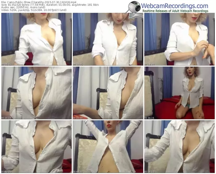 cams-sarashy-public-show-07_30_2015-19_24_18