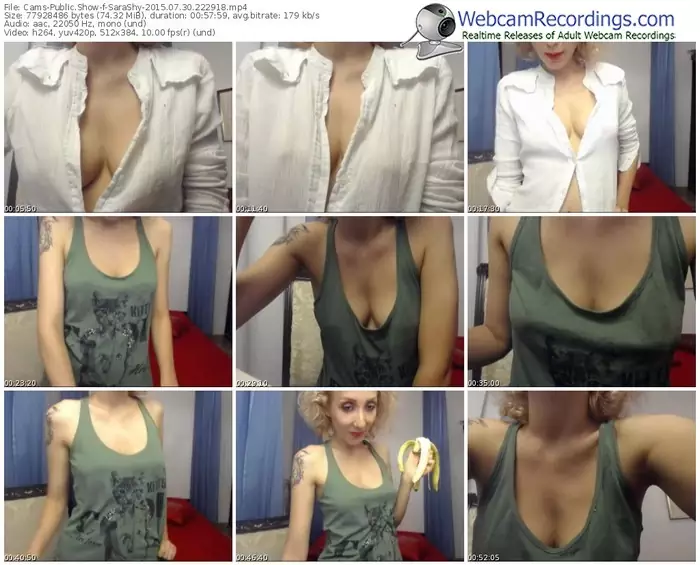 cams-sarashy-public-show-07_30_2015-22_29_18