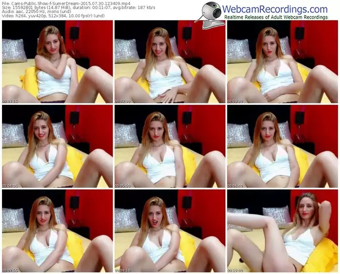 cams-sumerdream-public-show-07_30_2015-12_34_09