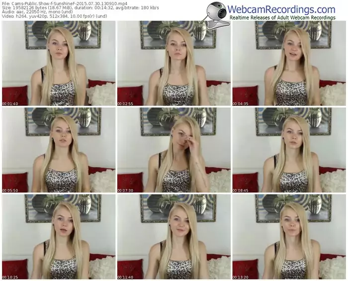 cams-sunshinef-public-show-07_30_2015-13_09_10