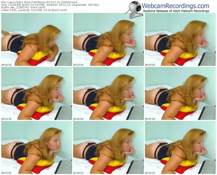 cams-ahhrose-public-show-07_31_2015-23_09_29