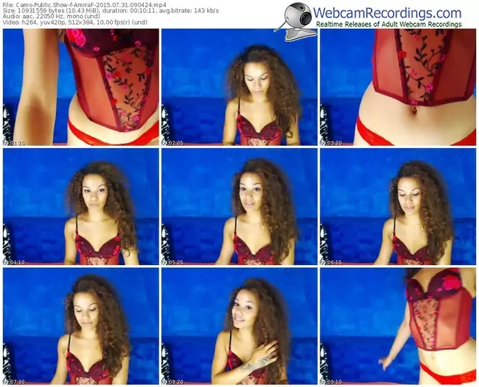 cams-amiraf-public-show-07_31_2015-09_04_24