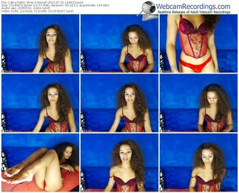 cams-amiraf-public-show-07_31_2015-10_49_23