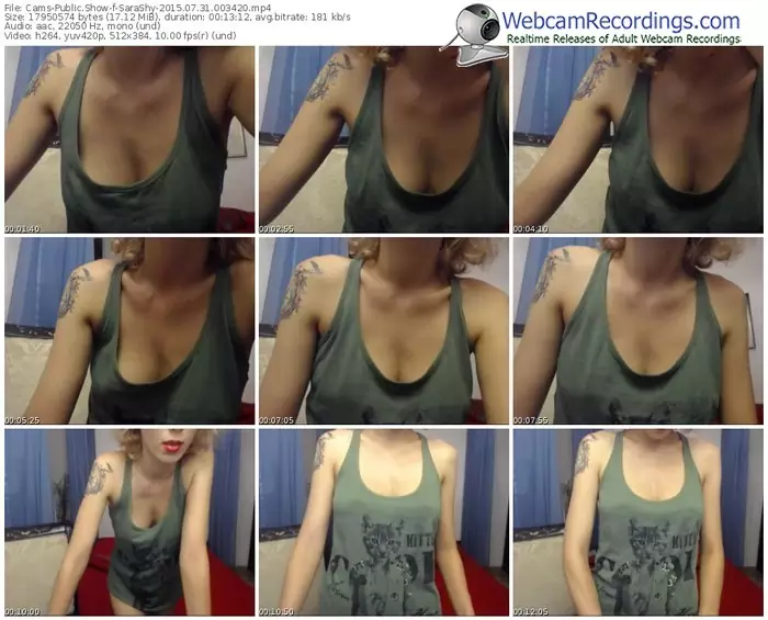 cams-sarashy-public-show-07_31_2015-00_34_20