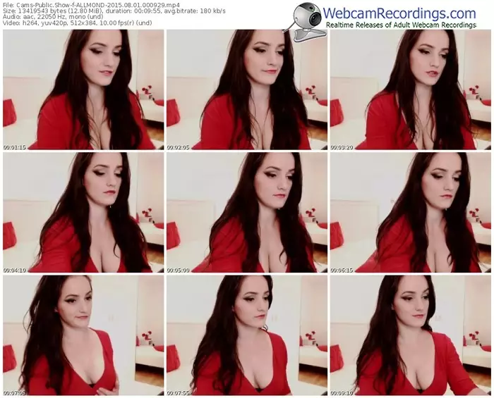 cams-allmond-public-show-08_01_2015-00_09_29