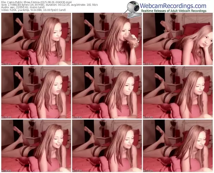 cams-amia-public-show-08_01_2015-00_49_30