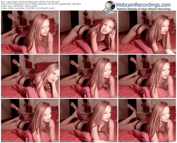 cams-amia-public-show-08_01_2015-01_14_30