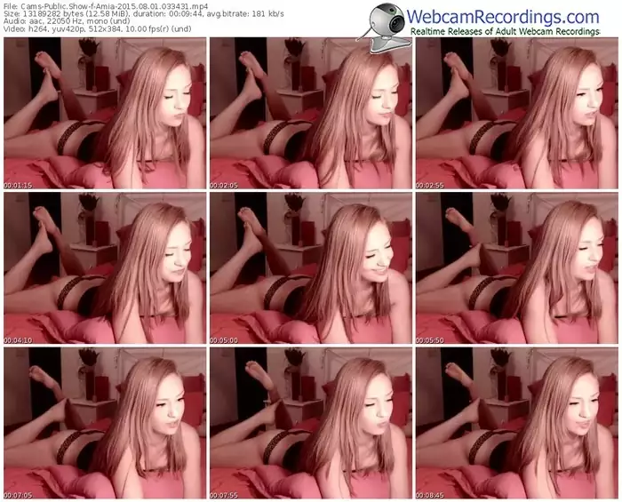 cams-amia-public-show-08_01_2015-03_34_31