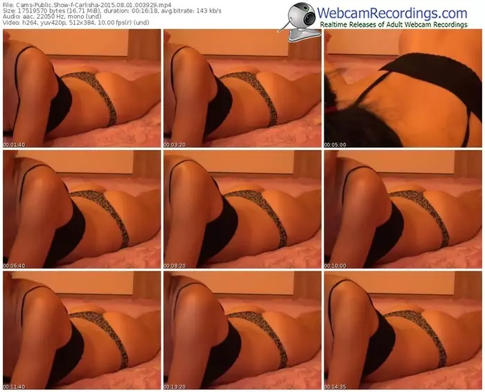 cams-carlisha-public-show-08_01_2015-00_39_29